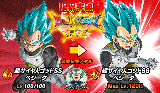 超激戦イベント開催 神をも凌ぐサイヤの境地 News Dbz Space Dokkan Battle Japan