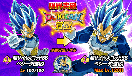 超激戦イベント開催 神をも凌ぐサイヤの境地 News Dbz Space Dokkan Battle Japan