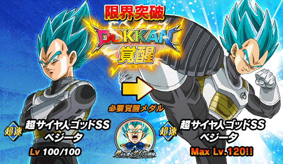 超激戦イベント開催 神をも凌ぐサイヤの境地 News Dbz Space Dokkan Battle Japan