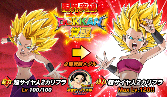 物語イベント開催 Db超 力の大会開幕 News Dbz Space Dokkan Battle Japan