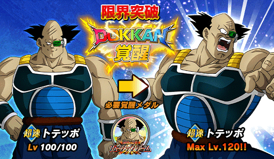 全開放】歴戦の猛者！ バーダックチーム | News | DBZ Space! Dokkan